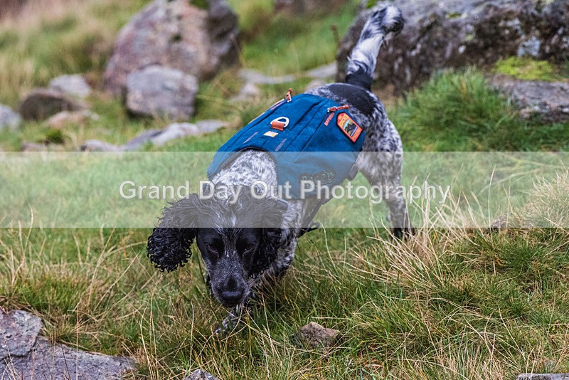 Langdale-2 - Langdale Horseshoe Fell Race Saturday 7th October 2023