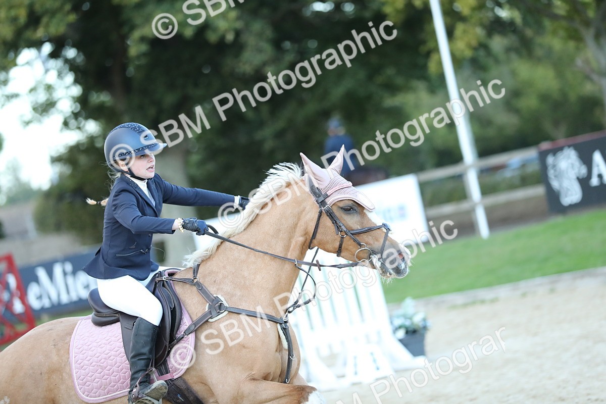 SBM_53688 - Supreme Championship 65cm 70cm