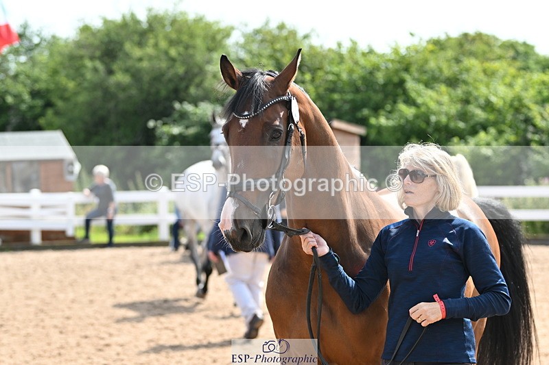 240717A-155801-03223 - Trot Up 3pm to 4pm