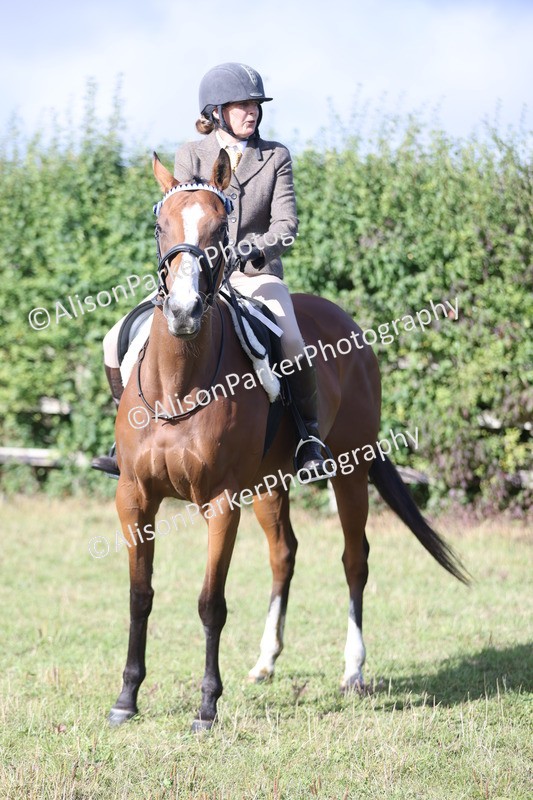 20250831-0854 - Class 14 - Ex Racehorse