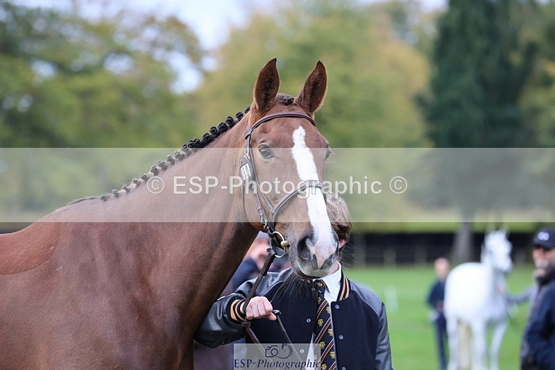 251026A-104123-23191 - F-460-Rueben.Kennah