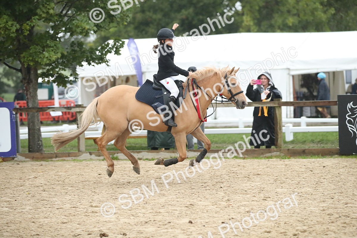 SBM_74340 - Supreme championship Junior Pony 70cm 75cm