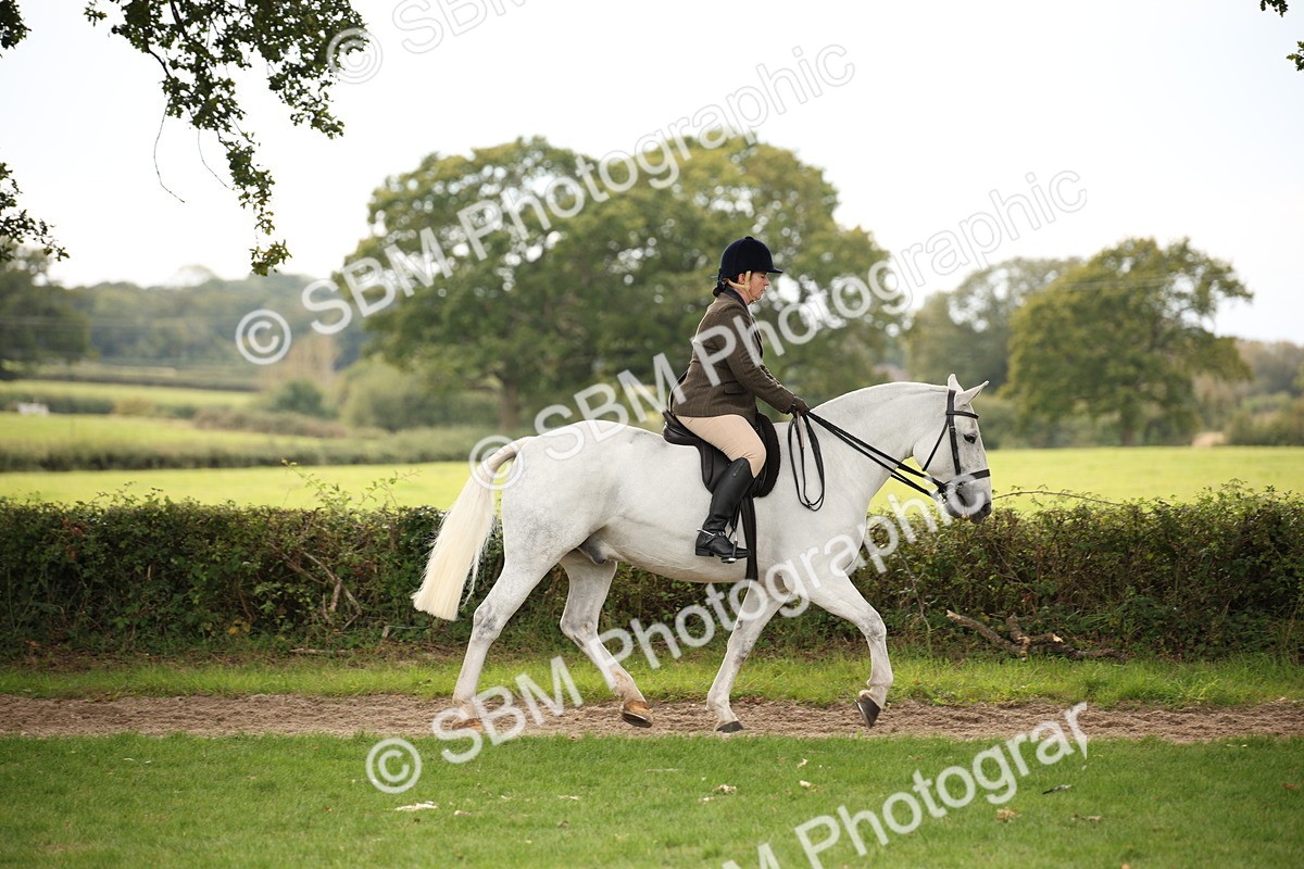 SBM_72353 - S67 - Show Cob Ridden