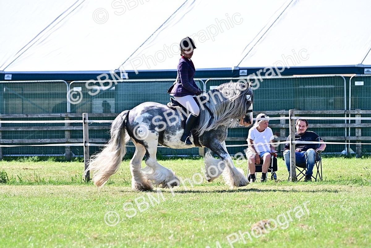 SBM_19420 - Class 101-102 - BSPS LIHS Performance Coloured Horse/Pony