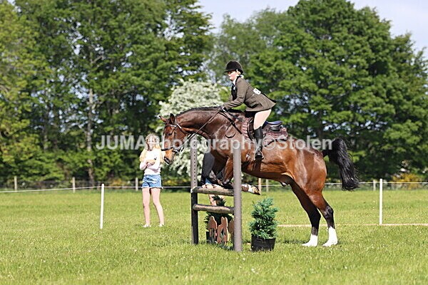 IMG_4793 - Working Hunter