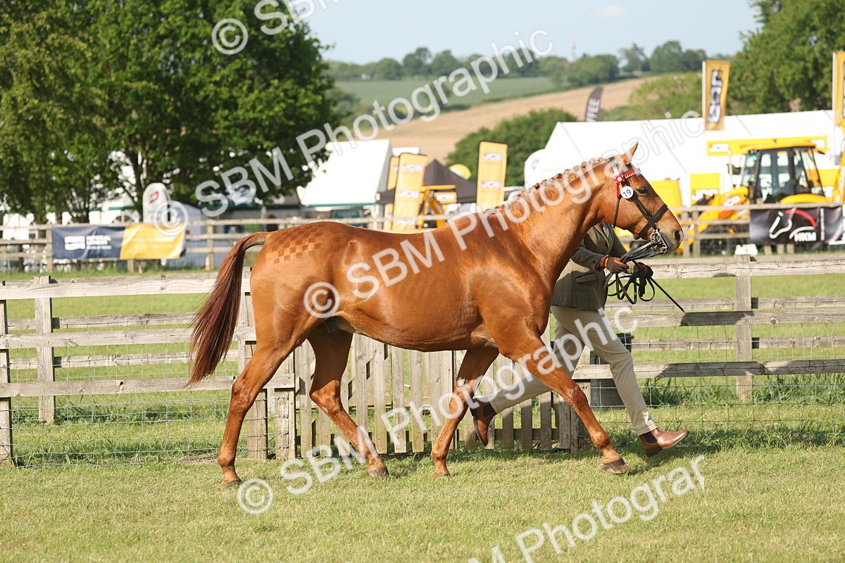 SBM_10452 - Class 33-38 - SSADL RIHS Qualifiers