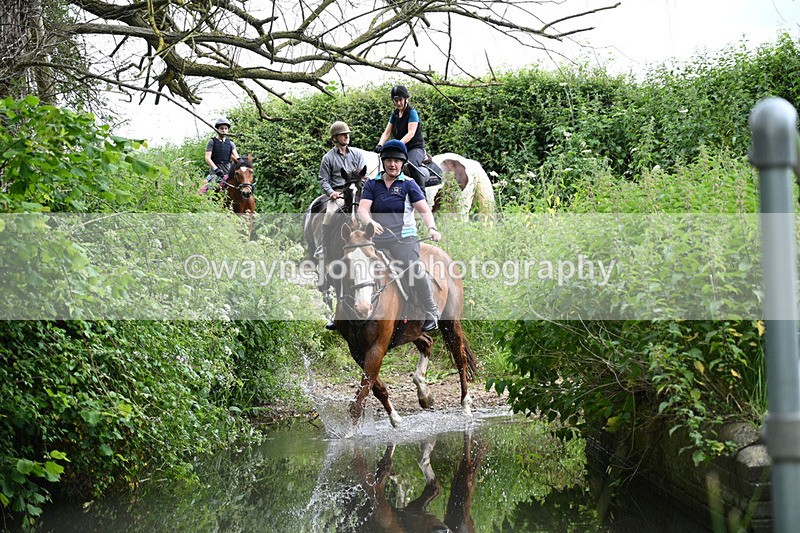 WJ7_1838 - Camera 2 Water Crossing