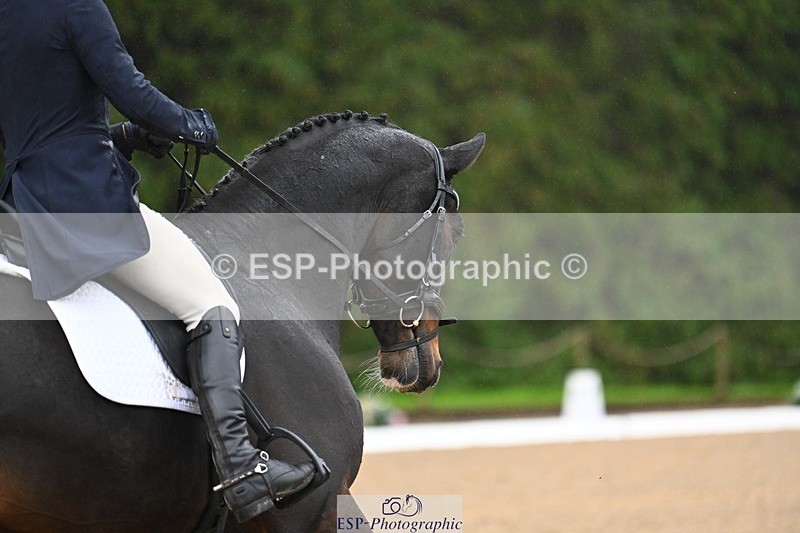 231021-102656-14444 - 234-HINDOCTRO-Louisa.Lockwood-DR