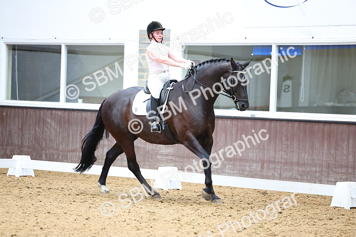 SBM_005540 - Elementary 2