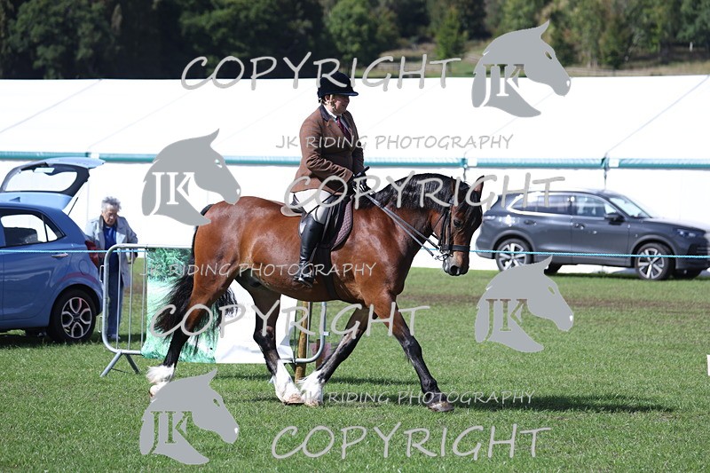 APP_3477 - Class 12 M&M ridden