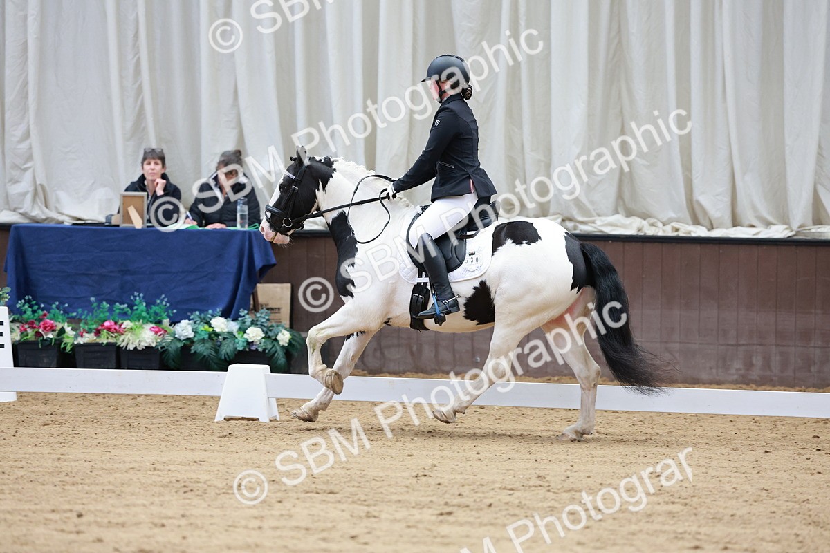 SBM_007247 - Class 6b - Novice 6 - 8.56-9.24