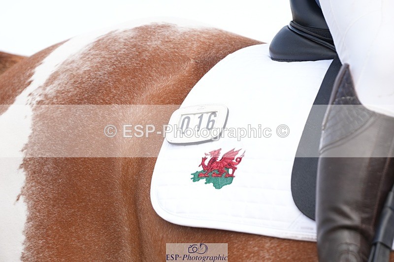 250906-131011-03541 - 016-Sarah.canningJohnny.Knoxville