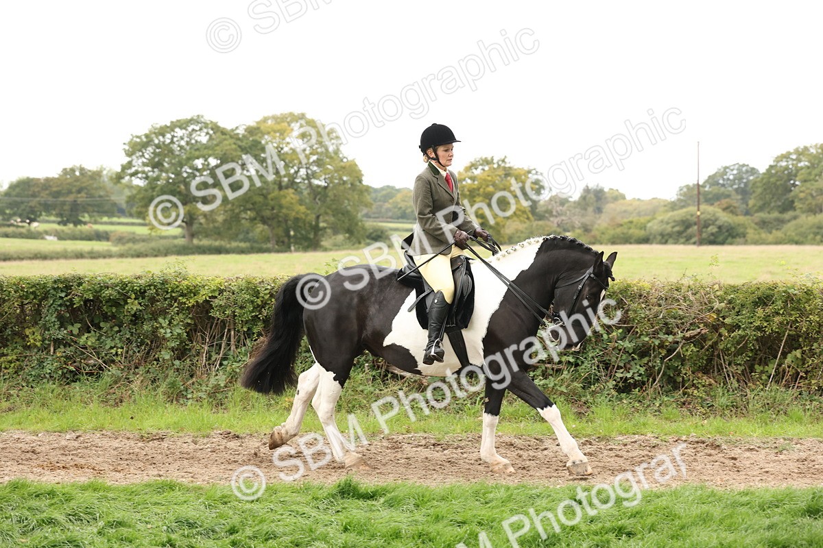 SBM_67240 - S67 - Piebald & Skewbald Horse Ridden