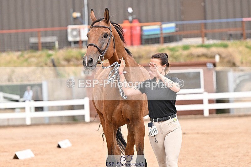 250716-154301-02150 - Trot Up 3.30 to 4.30