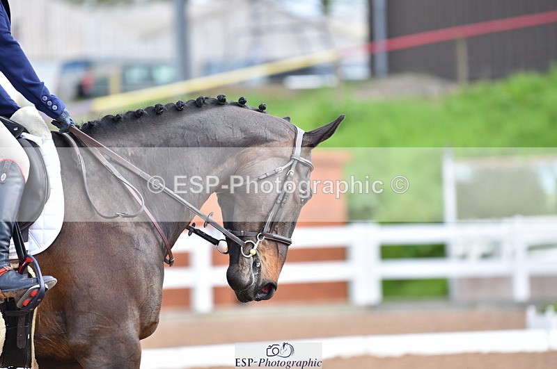 230511A-103209-00259 - BD Cls 4 Novice 22