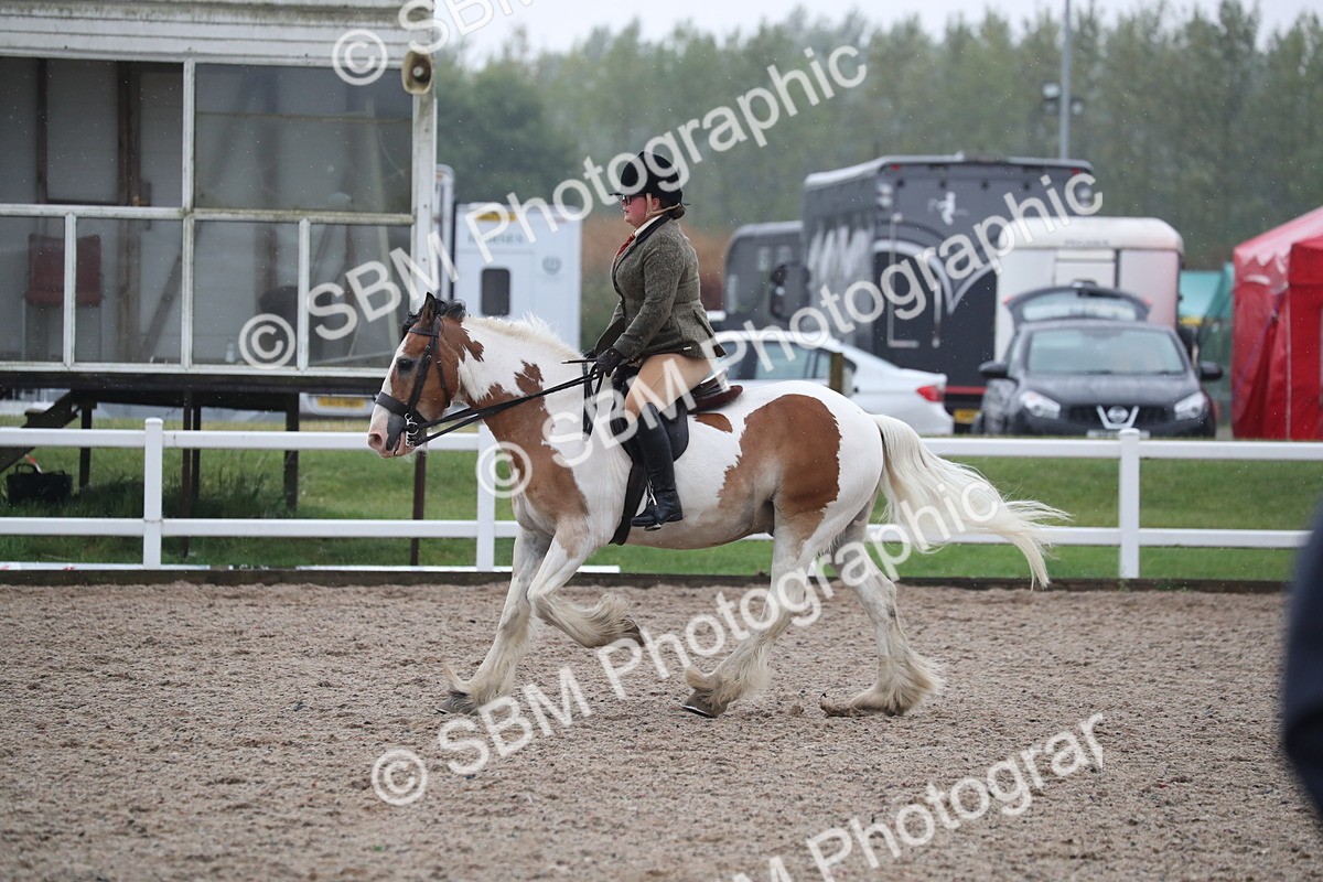 SBM_20485 - Class 601 - 2025 Area - Ridden Diamond