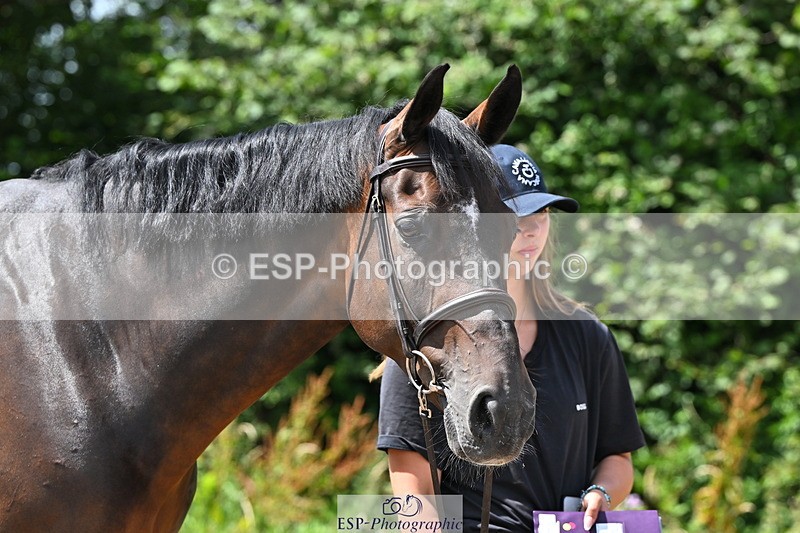 240718A-105251-01253 - Trot Up 12pm to 1pm