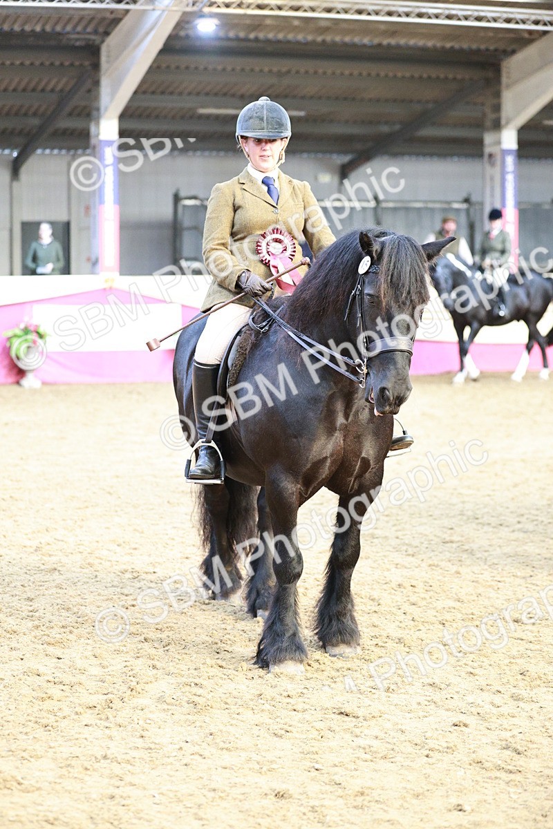 SBM_09138 - Class 12R - Regional Ridden Pre-Vet