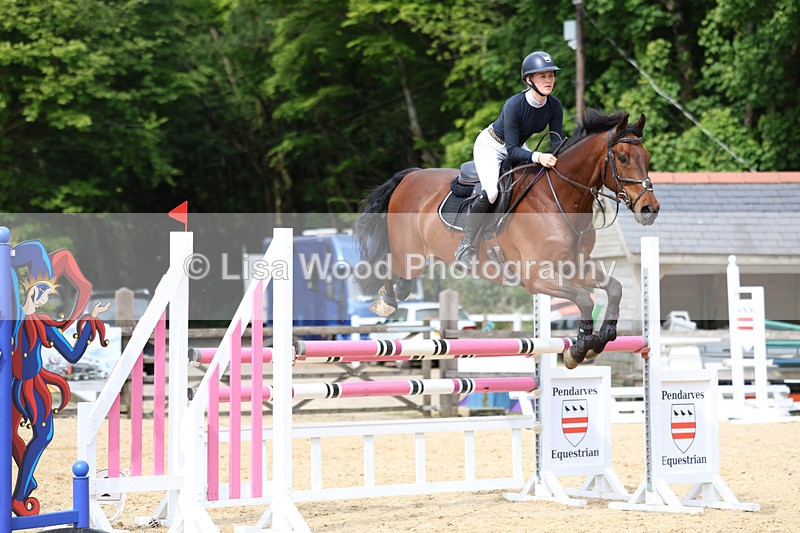 3E7A7677 - Class 8: Senior Foxhunter/1.20 open