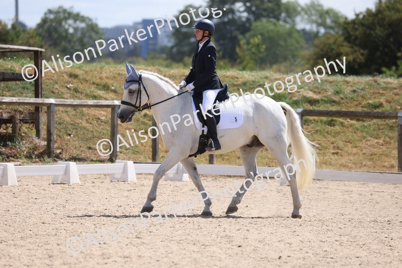 20260805-0811 - Class 6 - Novice 3