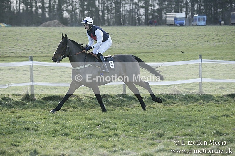 PtP 070118 -144 - Larkhill Racing Club Point to Point Larkhill 07/01/2018