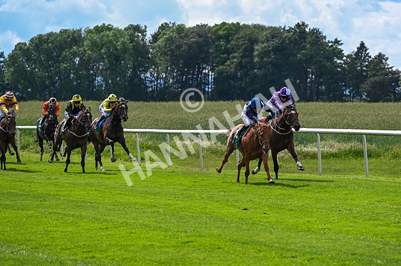 310526-Race 1-Alfred Wallace-7934 - Race 1 15.45pm Enter ITV7 For Free Novice Stakes