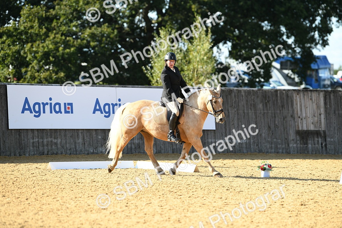 SBM_27251 - D16 - Small Tour Championship - Novice 28