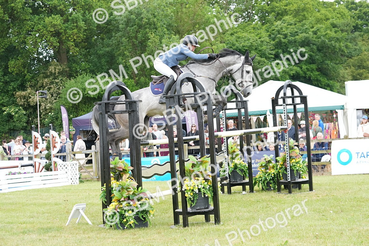 SBM_05279 - Class 201 - British Horse Feeds Speedi Beet Horse of the Year Show Grade  C