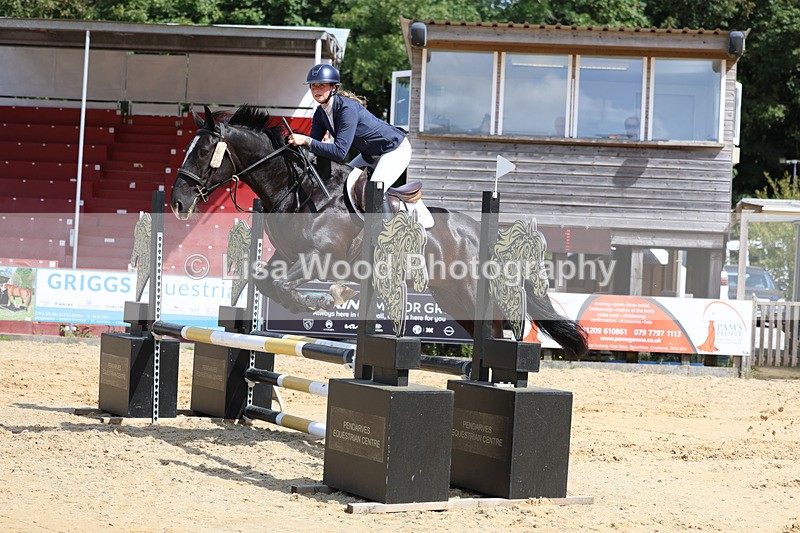3E7A3567 - Class 4: Senior British Novice/90cm open