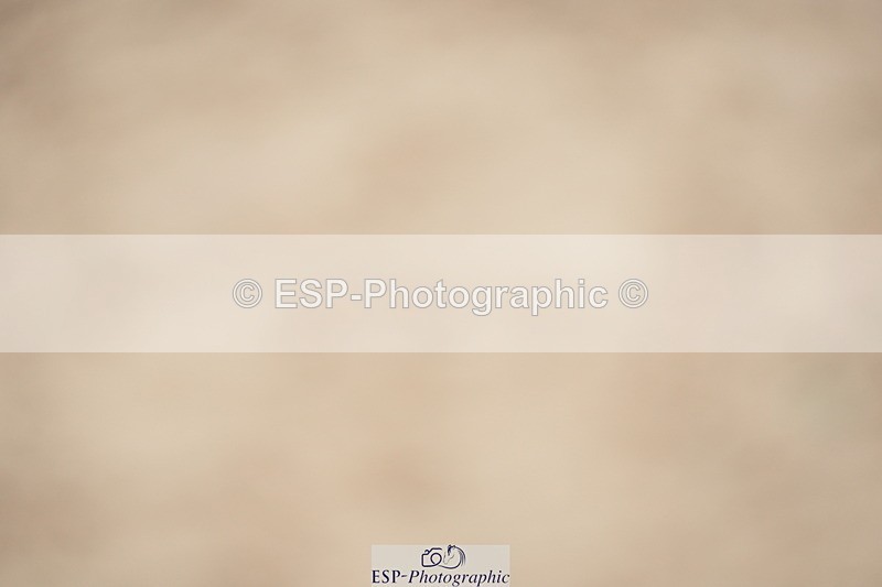 230924A-121030-04726 - 100 SJ 12.00 to End