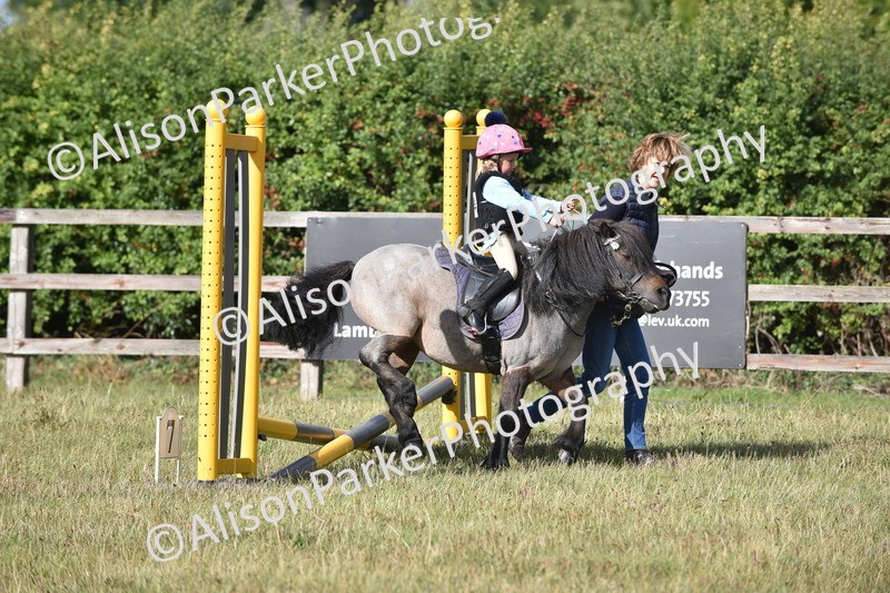 20250831-0379 - Class 6 - Minimus Jumping 30cm