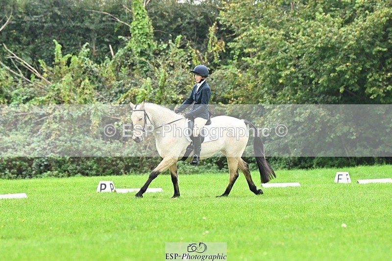 241024-140515-04287 - 332-Frances.Pearson-RYAN'S.GROVE