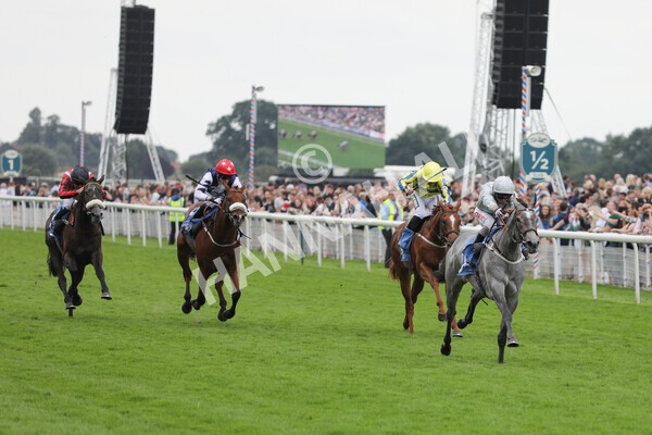 yr24072021r4-15 - Race 4 3.50pm Sky Bet Britain's Most Popular Online Bookmaker EBF Restricted Novice Stakes (Plus 10