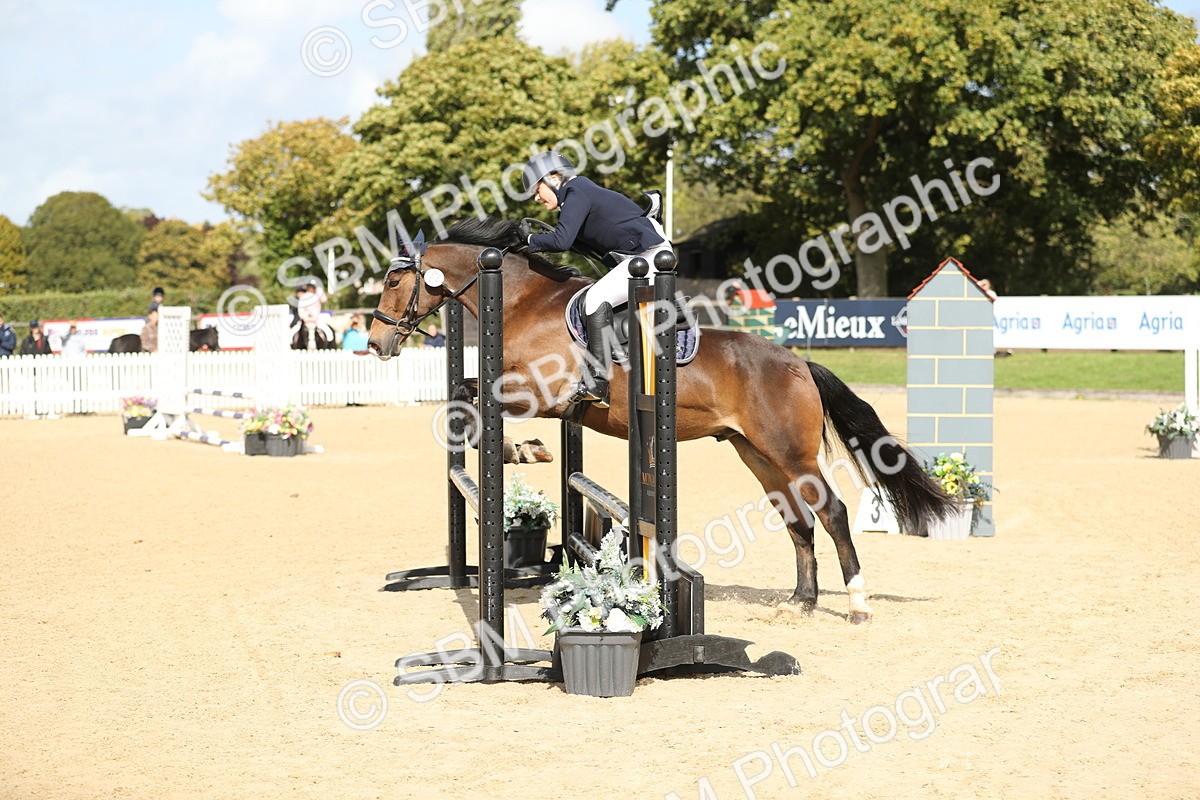 SBM_08472 - J30 - Senior Horse & Pony 70cm Championship