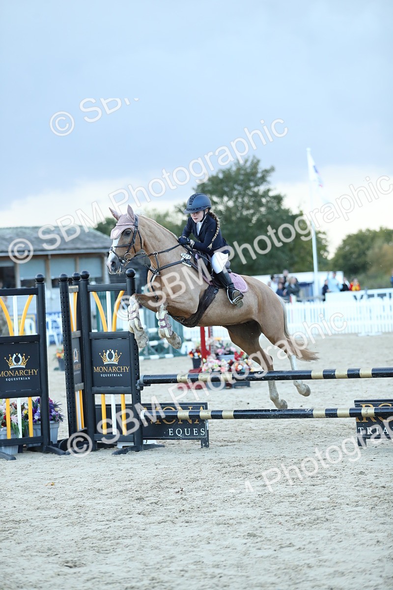 SBM_53684 - Supreme Championship 65cm 70cm