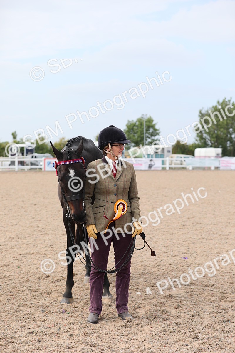 SBM_15971 - Class 313 IH Retired Racehorse