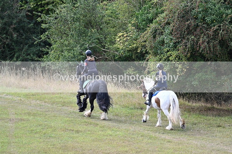 WJ7_4417 - Time 10:54 to 11:16