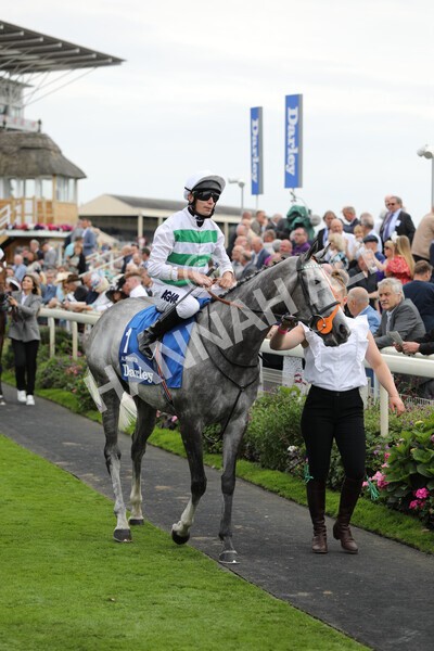 yr18082022r4-17 - Race 4 3.35pm Darley Yorkshire Oaks (British Champions Series Race)