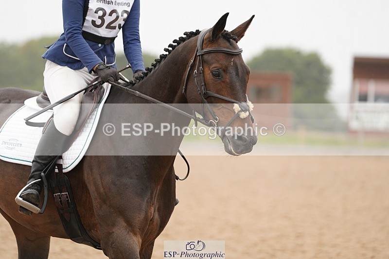 240901A-121042-06816 - 323-Bethany.Hull-CARRICK.DIAMOND.OLIVER