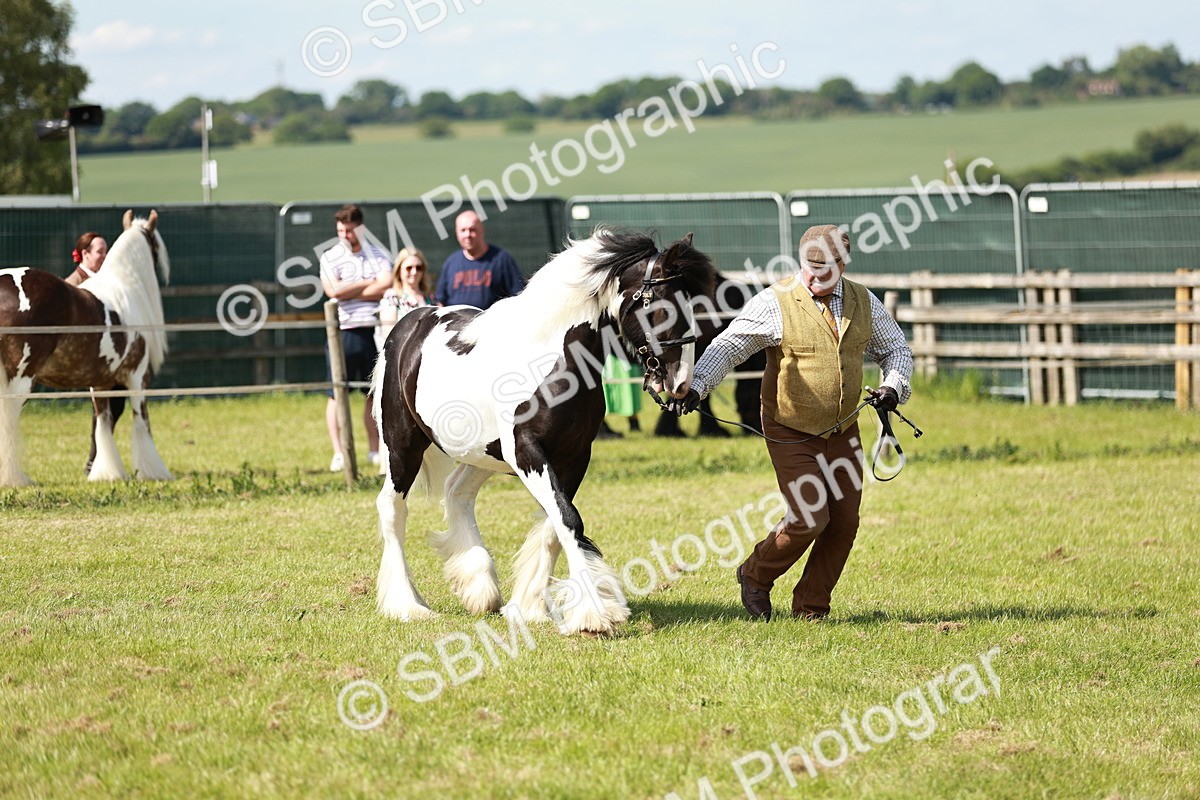 SBM_08649 - Class 63-65 - Traditional Gypsy Cobs In Hand & Ridden