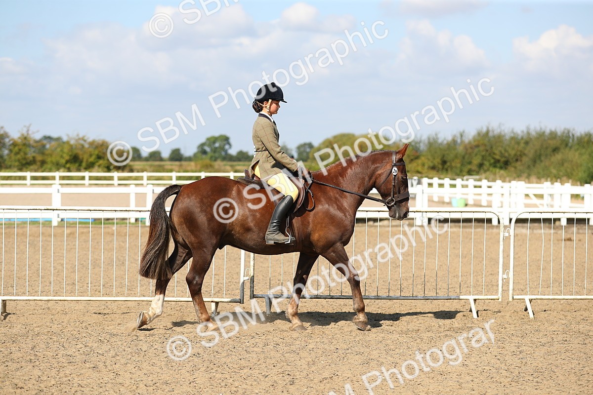 SBM_03094 - Class 44 Riding Club Horse/ Pony