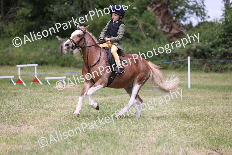 20260614-2042 - Class 21 - Novice Working Hunter Pony