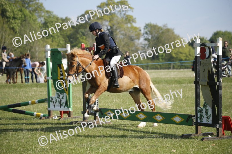 20250427-0249 - Class 12 - Rookie Jumping 40cm