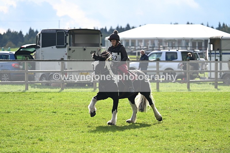 WJ7_3715 - 40cm Time 10:26 to 10:42