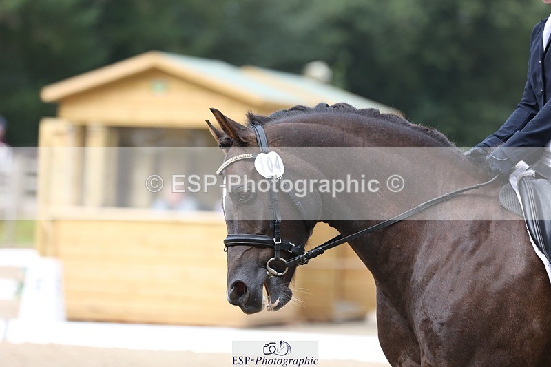 230812-103855-03294 - Cls 5 Novice Bronze Start to 10.55 break