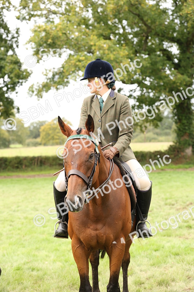 SBM_64291 - S65 - Riding Horse & Hack & Thoroughbred Ridden