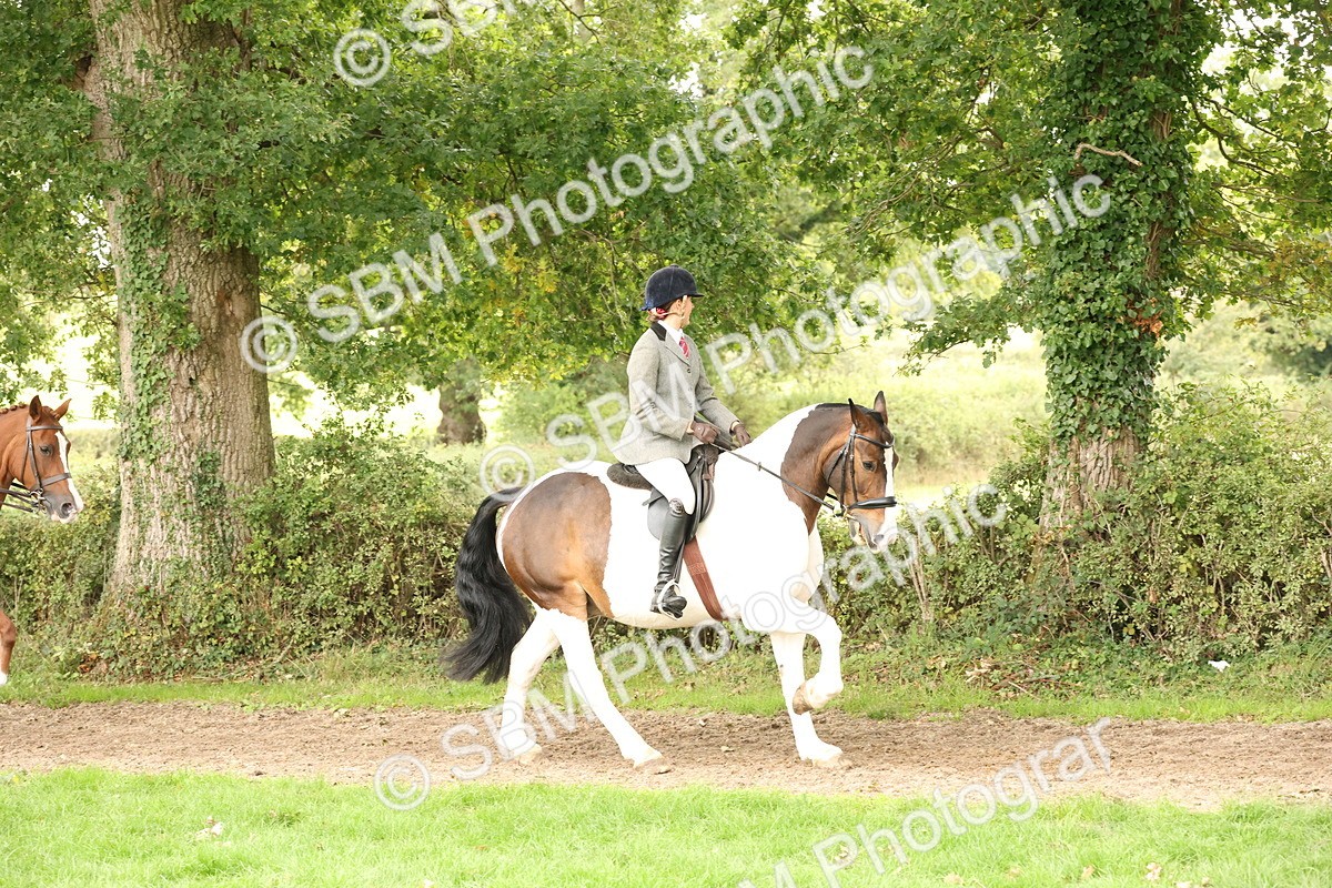 SBM_66308 - S66 - Hunter Ridden