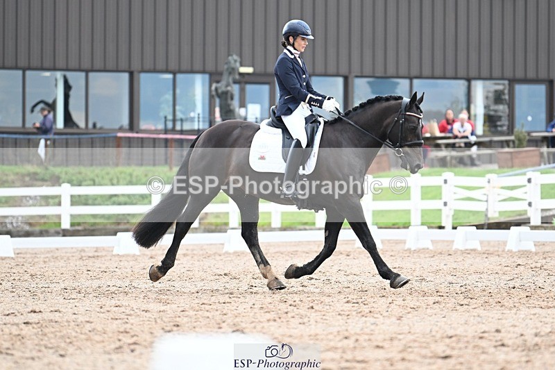 250907-124826-08446 - 005-Jessica.AllenHendrewen.Desert.Lady