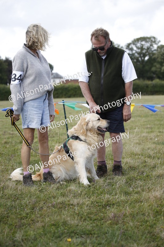 20250831-3627 - Dog Show