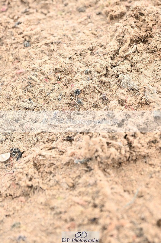 250416-121647-00796 - Cls 3 Snr 1.05m Open